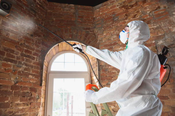 Best Biohazard Mold Removal in Weston Lakes, TX